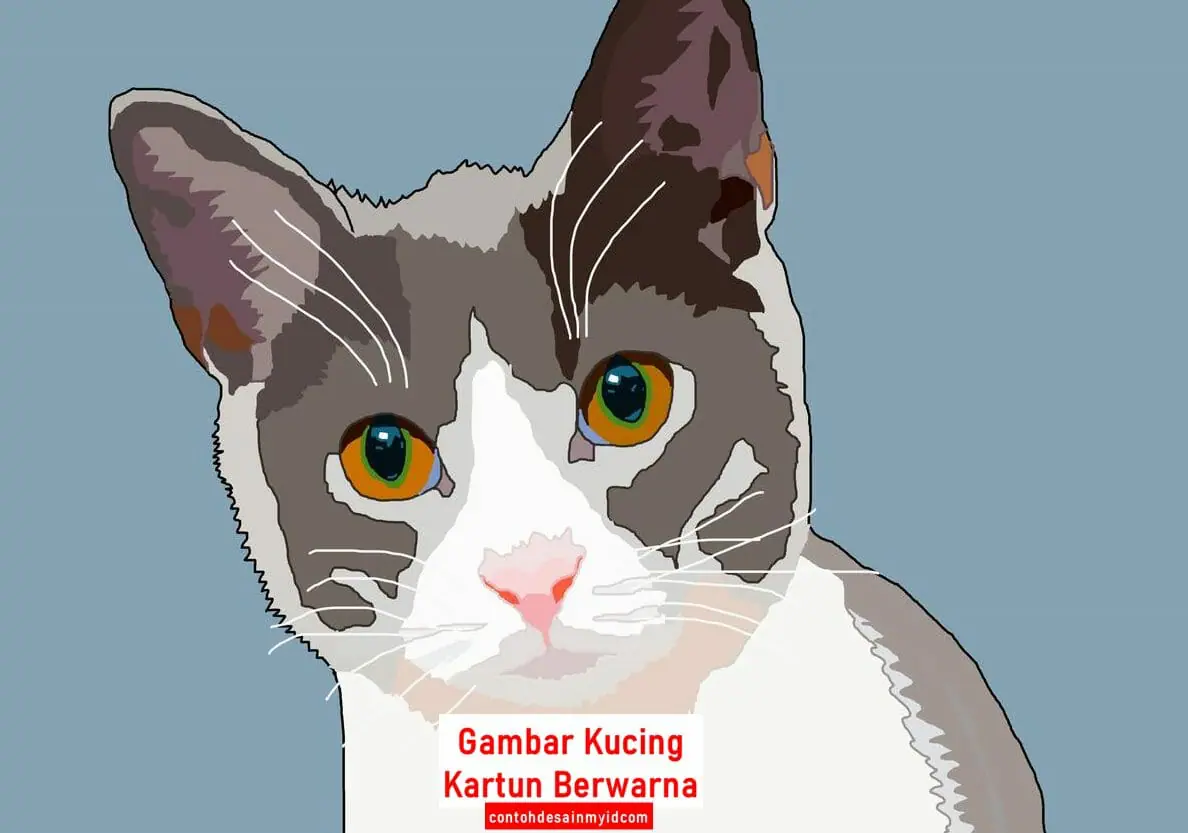 Gambar Kucing Kartun Berwarna