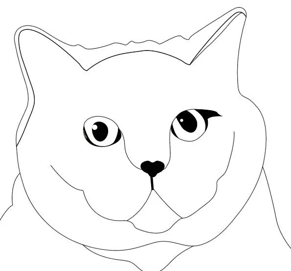 Gambar Kucing Kartun Berwarna